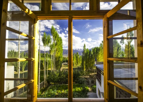 Cost of Wood Window Replacement in Torrance