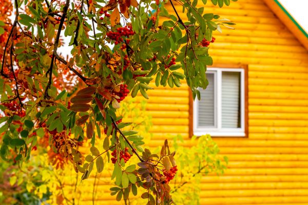 Cost of Garden Window Replacement in Torrance